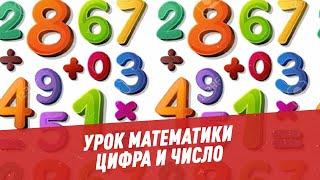 Урок математики. Цифра и число - Школьная программа для взрослых