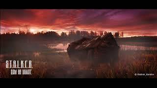 S.T.A.L.K.E.R. Дом на болоте (аудиокнига) Калугин Алексей