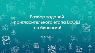 Разбор заданий Пригласительного этапа ВсОШ по биологии, 6 класс