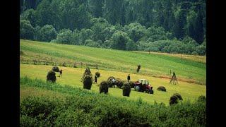 Окружающий мир 3 класс ч.2, тема урока "Растениеводство", с.51-55, Школа России.